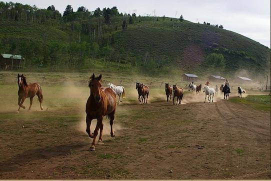 Parade Rest Ranch Запад Йеллоустон Экстерьер фото